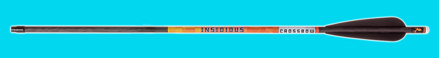 Bear Archery Insidious