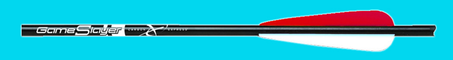 GAMESLAYER® T6_WR