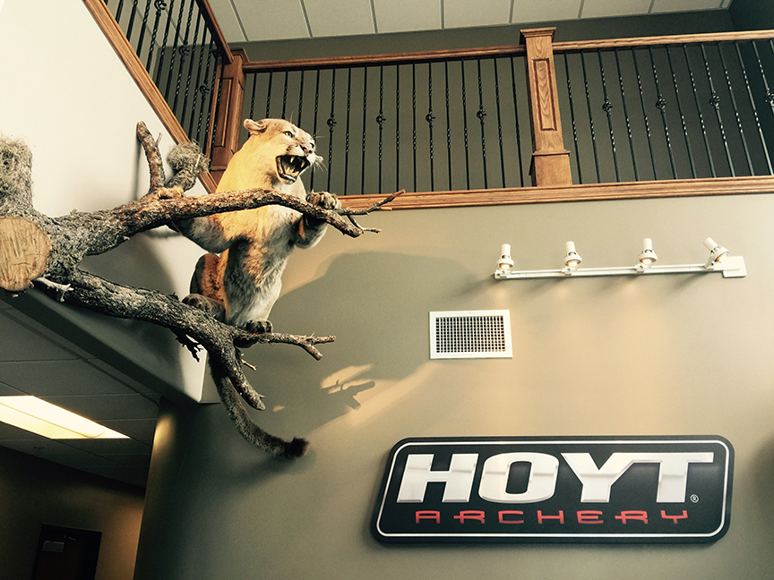 Hoyt