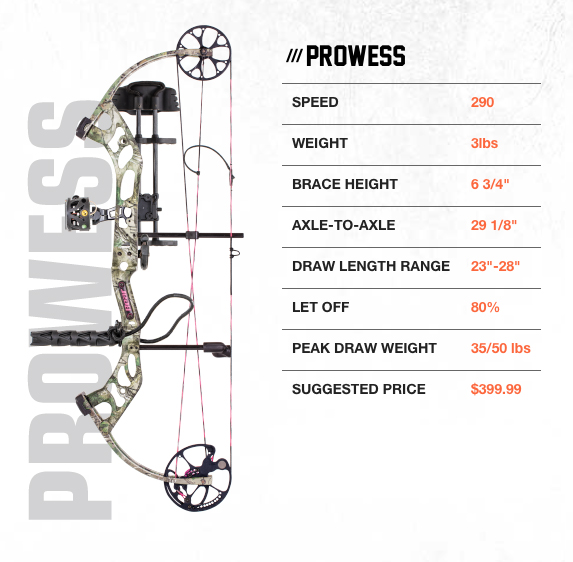 Bear Archery