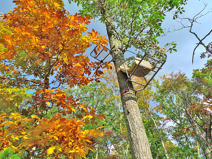 Treestand safety cover photo