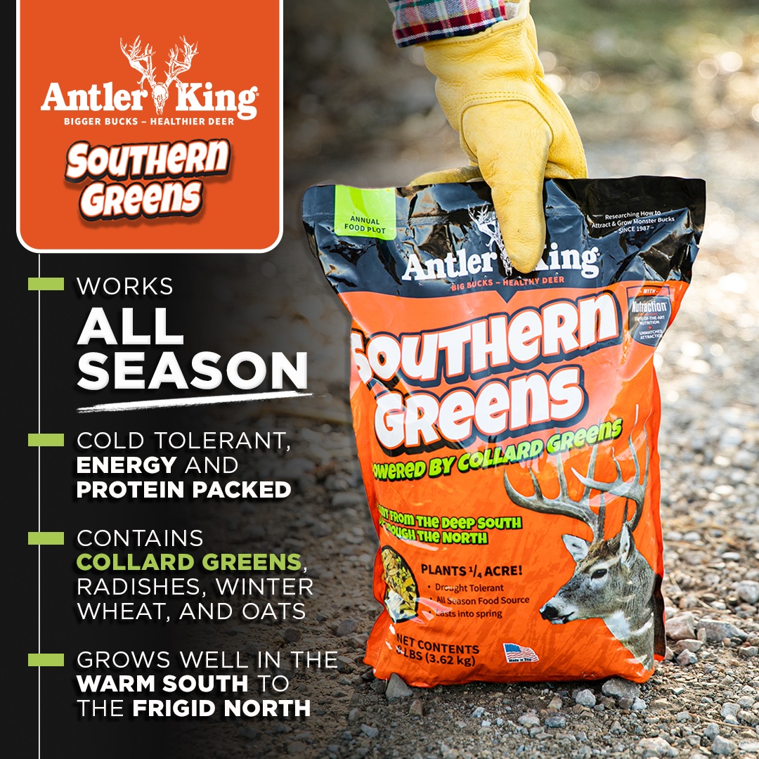 Antler King’s Southern Greens Offers Deer an All-Season Food Source