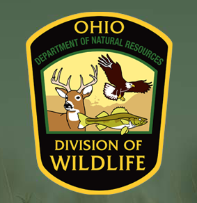 November 9 Was Best Day for Ohio’s Bowhunters