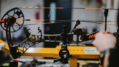 2025 Bows & Bowstrings
